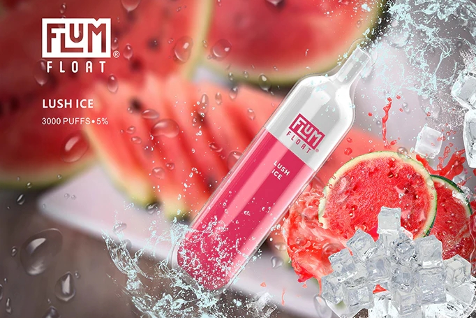 Die Zukunft des Vaping in Deutschland: Entdecke den FLUM FLOAT 3000 Züge Einweg-Vaporizer - üppiges Eis