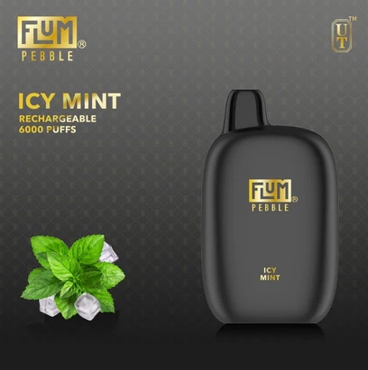 FLUM PEBBLES 6000 ZÜGE VAPE – Eisige Minze: Ihr Knackig-Frischer Begleiter für den Alltag in Österreich