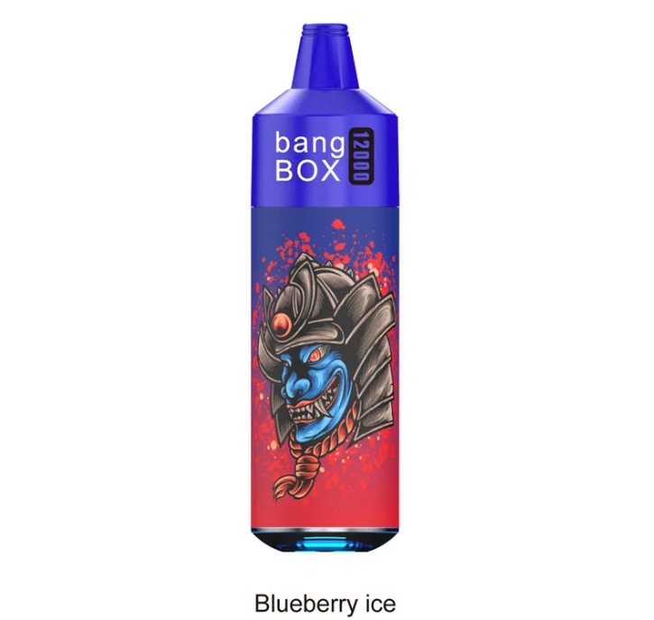Bang Box 12000 Puffs: Die Blaubeereis-Revolution für den Schweizer Genießer 2025
